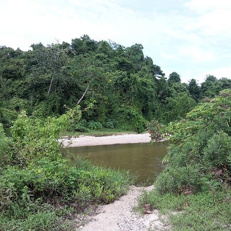 Cabana Wiwa Tayrona Los Naranjos Eksteriør bilde