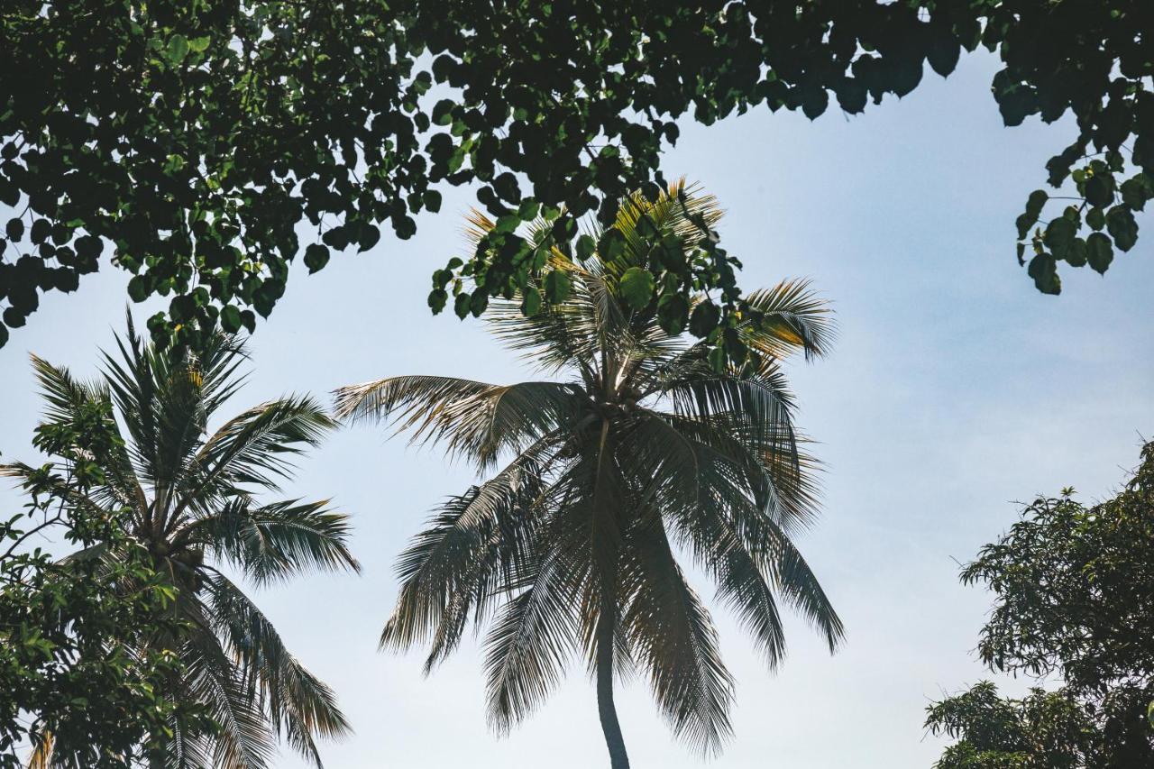 Cabana Wiwa Tayrona Los Naranjos Eksteriør bilde