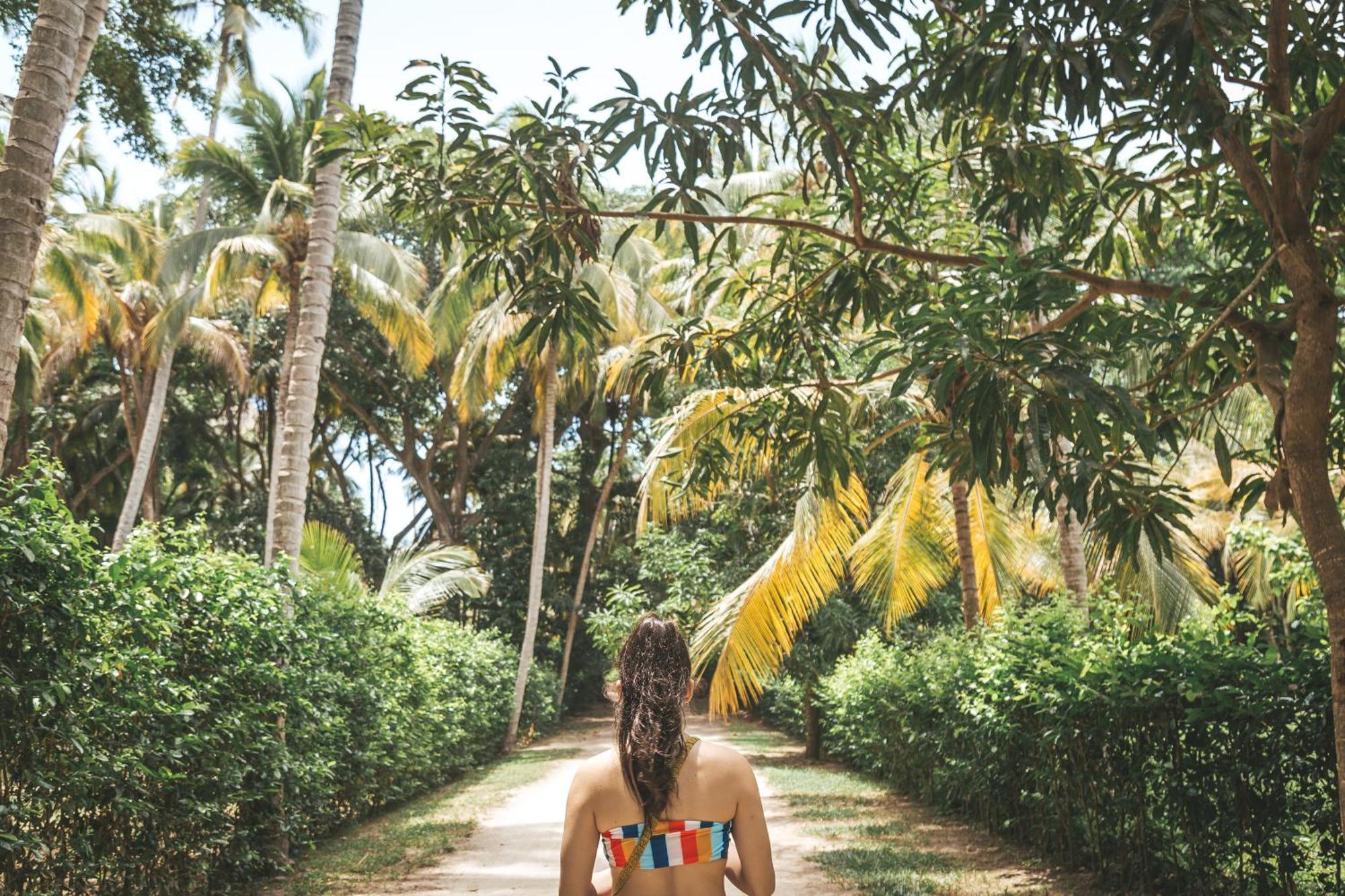 Cabana Wiwa Tayrona Los Naranjos Eksteriør bilde