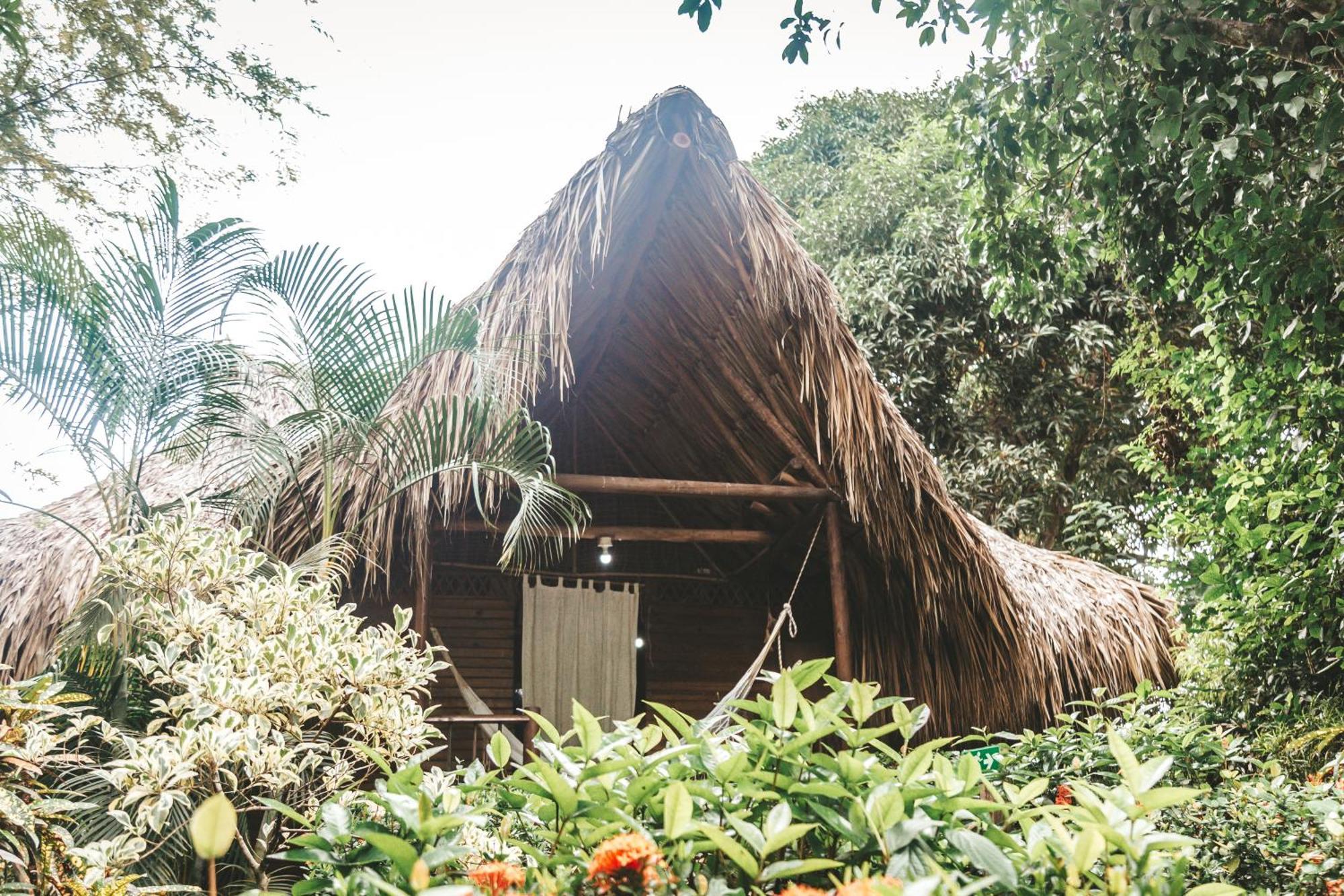Cabana Wiwa Tayrona Los Naranjos Eksteriør bilde