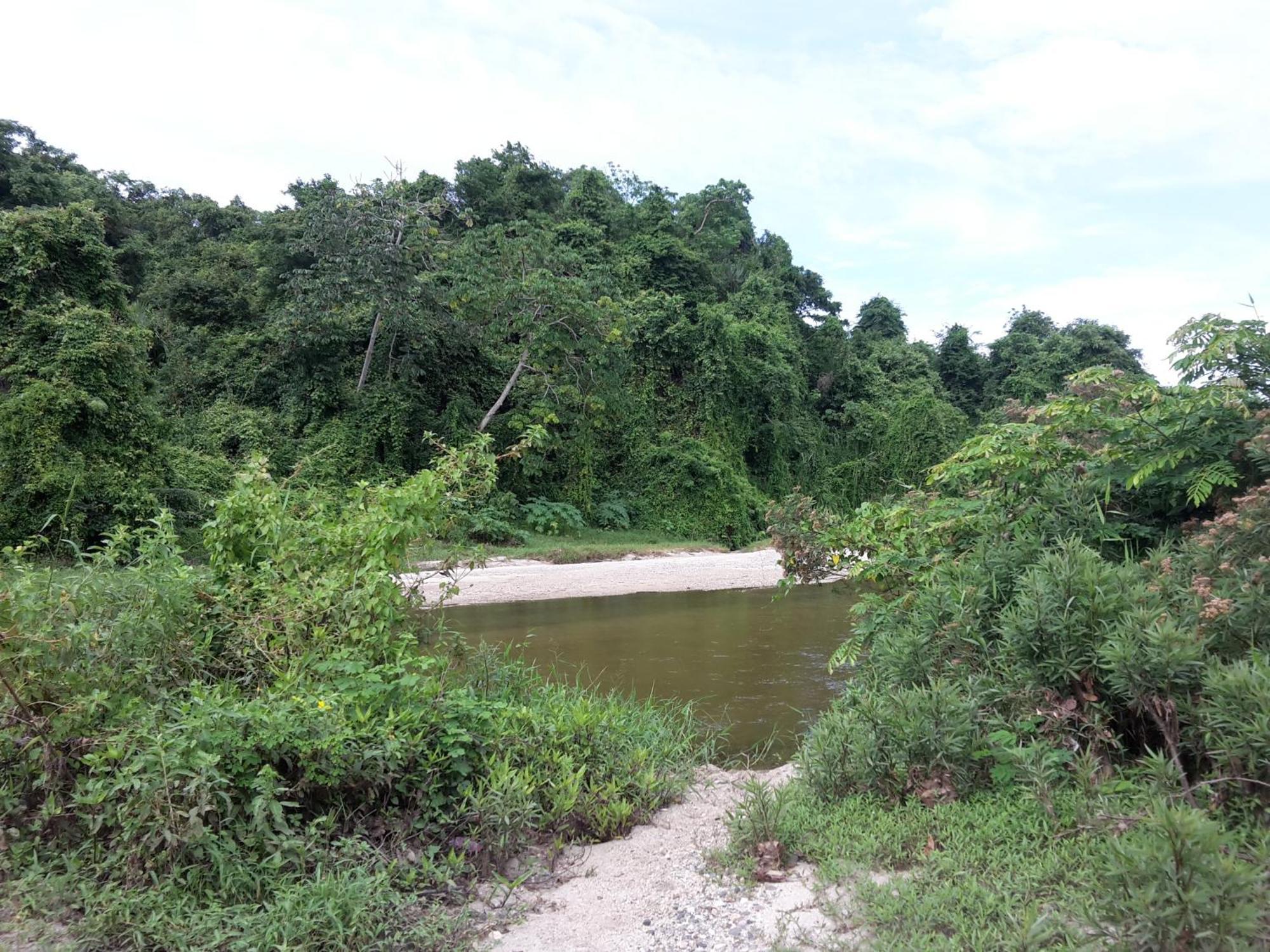 Cabana Wiwa Tayrona Los Naranjos Eksteriør bilde